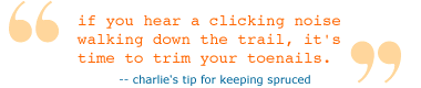 charlie's tips